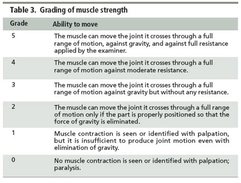 Muscle Grade Chart