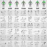 Muscle Workout Chart Images