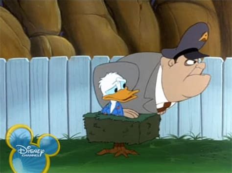 Ver Quack Pack 1x16 Serie Completa Hd Online Español Latino Lacartoons