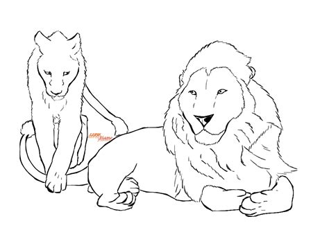 Free Lion Couple Lineart By Lupisflame On Deviantart