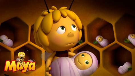 Insects In The Hive Maya The Bee🍯🐝🍯 Youtube