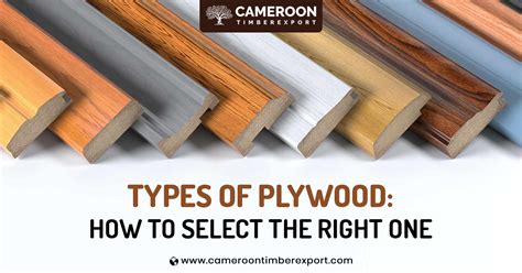 The 5 Most Common Types Of Plywood And Their Uses