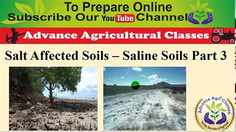 Saline Soils Salt Affected Soils Part 3 Ibps Afo Hindienglish