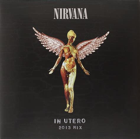 In Utero Nirvana Amazonfr Cd Et Vinyles