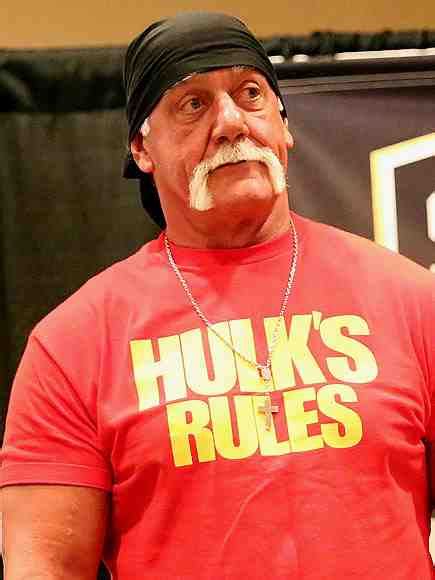 Hulk Hogan Racist Rant Statement Chris