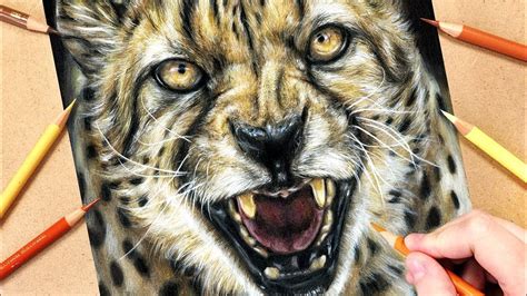 There are some things that never lose their charm; How to Draw a Cheetah using Coloured Pencils | Realistic Animal Drawing Tutorial - YouTube