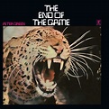 Peter Green: End Of The Game (180g) (LP) – jpc