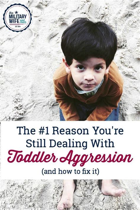 The 1 Reason Youre Still Dealing With Toddler Aggression