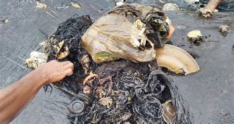 Indonesien Toter Pottwal Mit Sechs Kilogramm Plastik Im Magen Angeschwemmt Daily Sabah