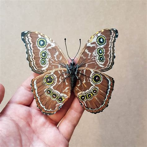 Taxidermy Paper Butterflies By The Indytute Experiences Notonthehighstreet Com