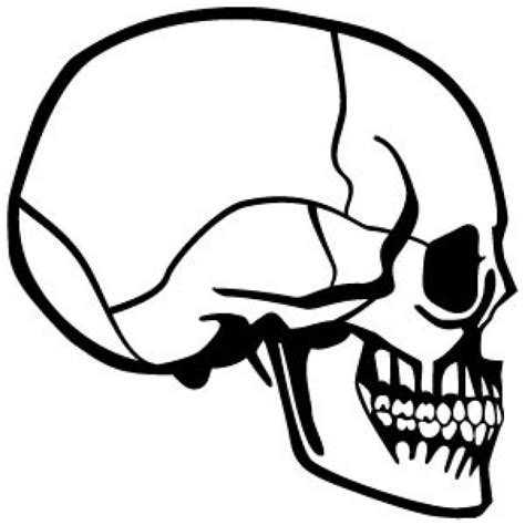 Skull Side View Drawing At Getdrawings Free Download