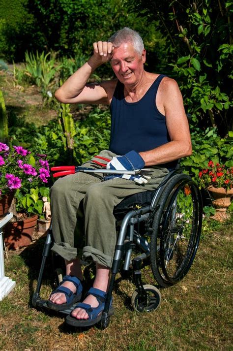 Gardening In Wheelchair Stock Image Image Of Paraplegia 36703209
