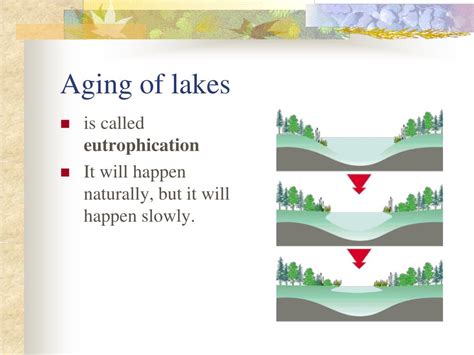 Ppt Aquatic Succession Powerpoint Presentation Free Download Id