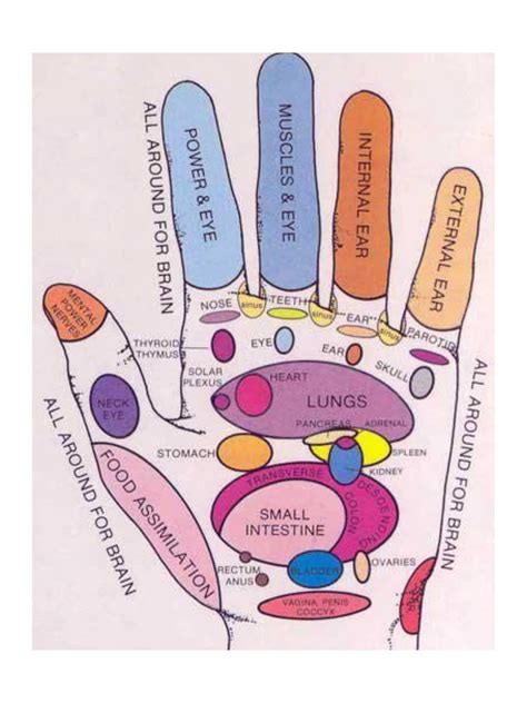 Hand Reflexology Chart Ec