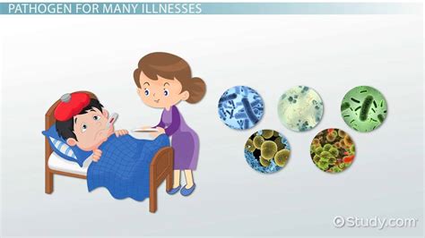What Is Streptococcus Pyogenes Causes Symptoms And Treatment Video