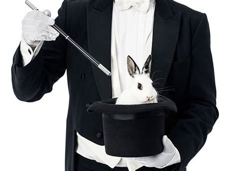 3800 Rabbit In A Hat Magic Stock Photos Pictures And Royalty Free