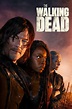 The Walking Dead (TV Series 2010- ) - Posters — The Movie Database (TMDb)