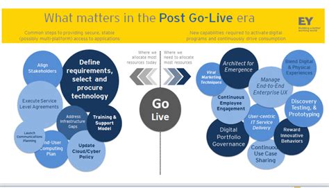 Realizing The Future Of Work Through “post Go Live” Activation
