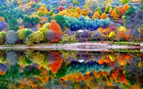 Autumn Scenery 736x414 Download Hd Wallpaper Wallpapertip