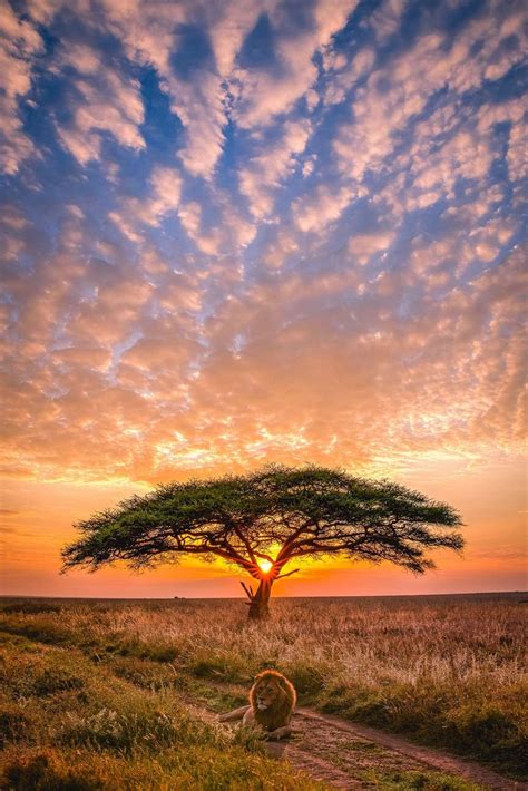 Africa In Focus Photo Competition African Sky