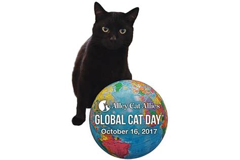 Whats Mew At Catster Dont Miss These October 2017 Cat Events Catster