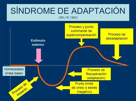Salud 365 SAG Síndrome de adaptación general