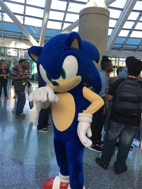 One Of My Favorite People At E3 Sonic The Hedgehog Halloween Costume