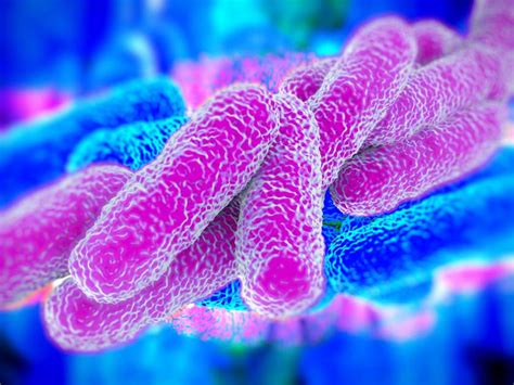 Pneumophila is the primary human pathogenic bacterium in this group and is the causative agent of legionnaires' disease, also known as legionellosis. 3 Chicago-area Schools Closed Due to Legionnaires' Disease ...