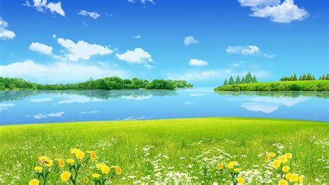 Sunny Wallpapers 62 Background Pictures