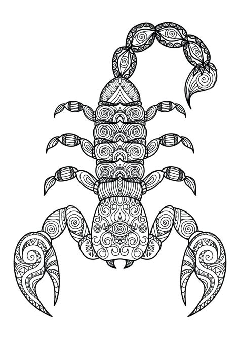 Free Printable Scorpion Coloring Pages For Kids Sketch Coloring Page