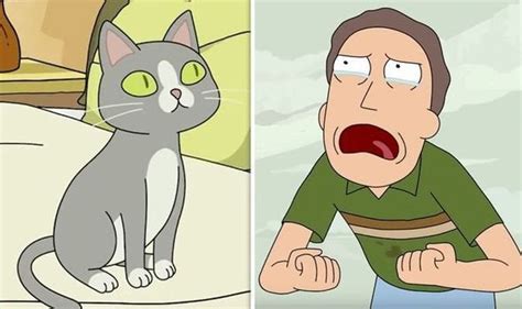 Rick And Morty Season 4 Episode 4 Cat Explained Reddit