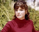 Katharine Ross Biography - Facts, Childhood, Family Life & Achievements