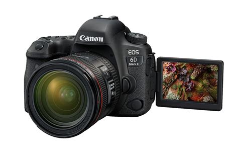 Capture Powerful Narratives Anywhere With The Canon Eos 6d Mark Ii