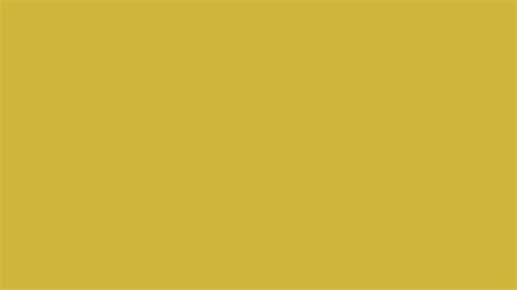 Old Gold Solid Color Background Wallpaper 5120x2880