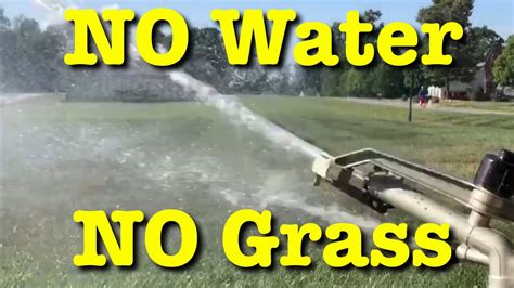 This depends greatly on the weather and the seeds: How To Water New Grass Seed The Easy Way | DIY Lawn Care ...
