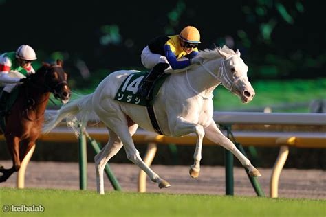 Copyright nhk (japan broadcasting corporation). ソダシの写真一覧 | 競馬ラボ