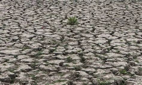 Europe S Rivers Run Dry As Drought Could Be Worst In Years