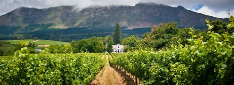 A Guide To Wining And Dining In The Western Cape
