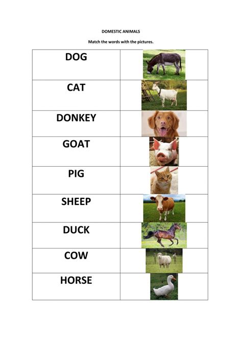 Domestic Animals Word And Picture Matching Worksheet