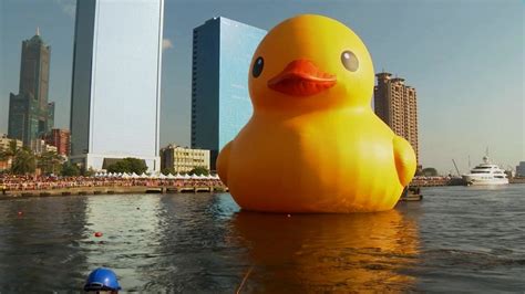 Giant Rubber Duck Wallpaper 77 Images