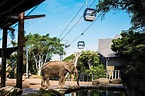 【Sydney】Taronga zoo – Delightful Travel