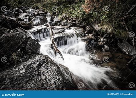 River Deep In Mountain Forest Nature Composition Stock Image Image