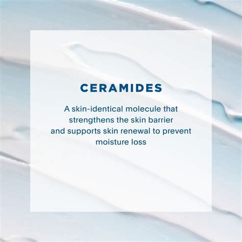 All About Ceramides Ceramides Emotional Wellness Molecules