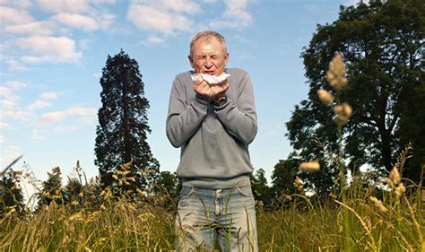 Hay Fever Symptoms Areas In The Uk With The Highest Pollen Counts