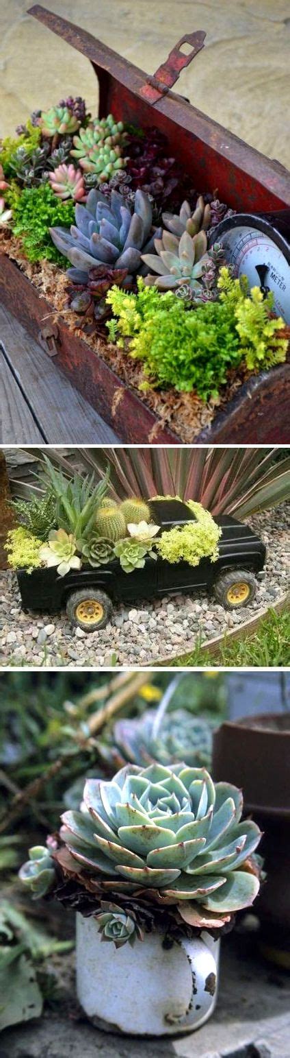 Succulent Container Garden Inspiration Looking And Feeling Great