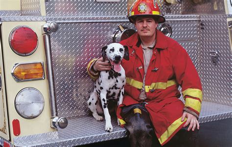 Fireman Dog Crop The Bank Of Greene County