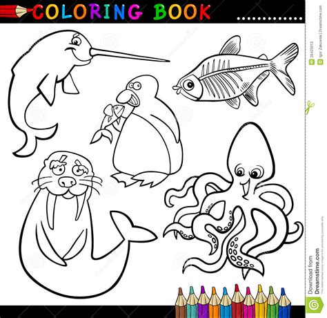 Animals For Coloring Book Or Page Stock Vector
