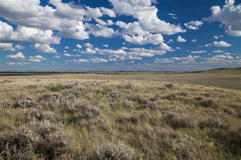 When to Go | American Prairie Reserve