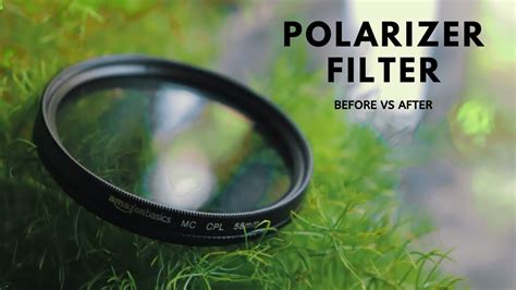 Amazonbasics Circular Polarizer Filter For Canon And Nikon Review