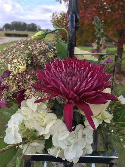 Queens Anne Lace Hydrangea And Dahlia For Beautiful Entrance